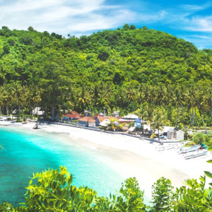 (한국어가이드) 발리 누사페니다 섬 투어