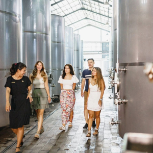 우붓 명소 & 와이너리 투어