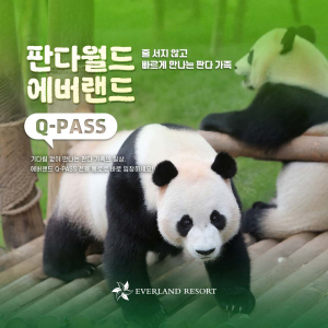 [용인] 에버랜드 Q-PASS: 판다월드
