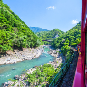 [한국어/영어가이드] 오사카 출발: 교토&나라 일일 버스 투어