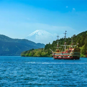 (한국어 가이드) 후지산 포토 스팟 일일 버스 투어 D코스