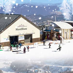 25/26 평창 휘닉스파크 스키 리프트&눈썰매 이용권