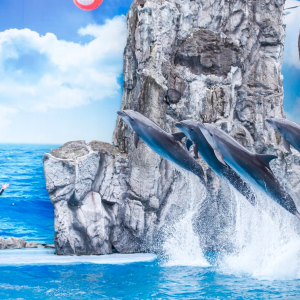 (한국어가이드) 방콕 사파리 월드 단독 투어