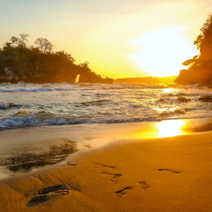 (한국어가이드) 발리 누사페니다 섬 투어