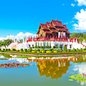 (한국어가이드) 치앙마이 도이수텝 & 왓수안독 & 로얄파크라차프륵 사원 단독 투어