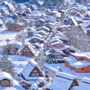 [한국어가이드] 시라카와고 & 다카야마 일일 버스 투어