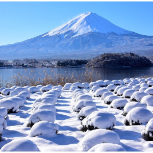 [도쿄] 후지산 하코네 및 미술관 코스
