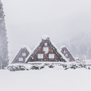  [나고야]나고야 출발 중부 타카야마 시라카와고 1일 버스투어 최소 4명 출확, 한국인 가이드