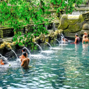 (한국어가이드) 발리 우붓 단독 투어 & 공항 샌딩