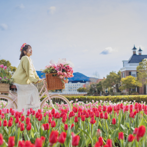 [후쿠오카] 하우스텐보스 다이렉트 입장권 