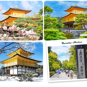 [한국어가이드] 교토 핵심 명소 일일 버스 투어