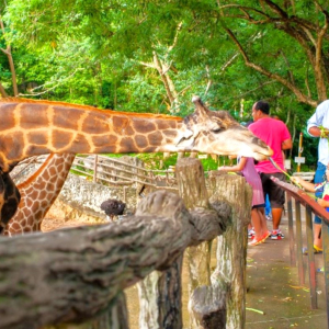 (한국어가이드) 파타야 시티 체크아웃 단독 투어 & 공항 샌딩