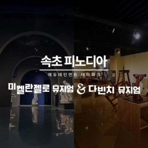  [강원] 피노디아 뮤지엄 입장권