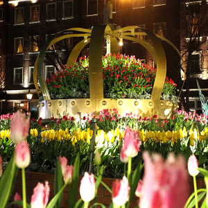 [후쿠오카] 하우스텐보스 다이렉트 입장권 