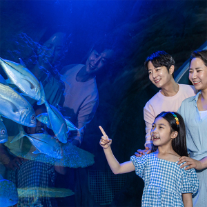 [광교] 아쿠아플라넷 입장권(1/1~1/31)