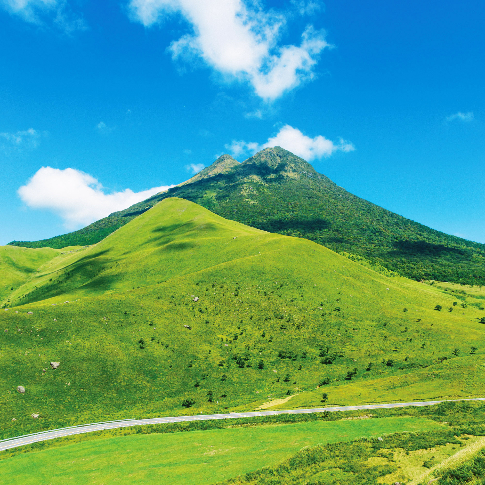 [후쿠오카] 코쿠라 탑승/시모노세키 경유 벳푸 유후인 일일 버스 투어