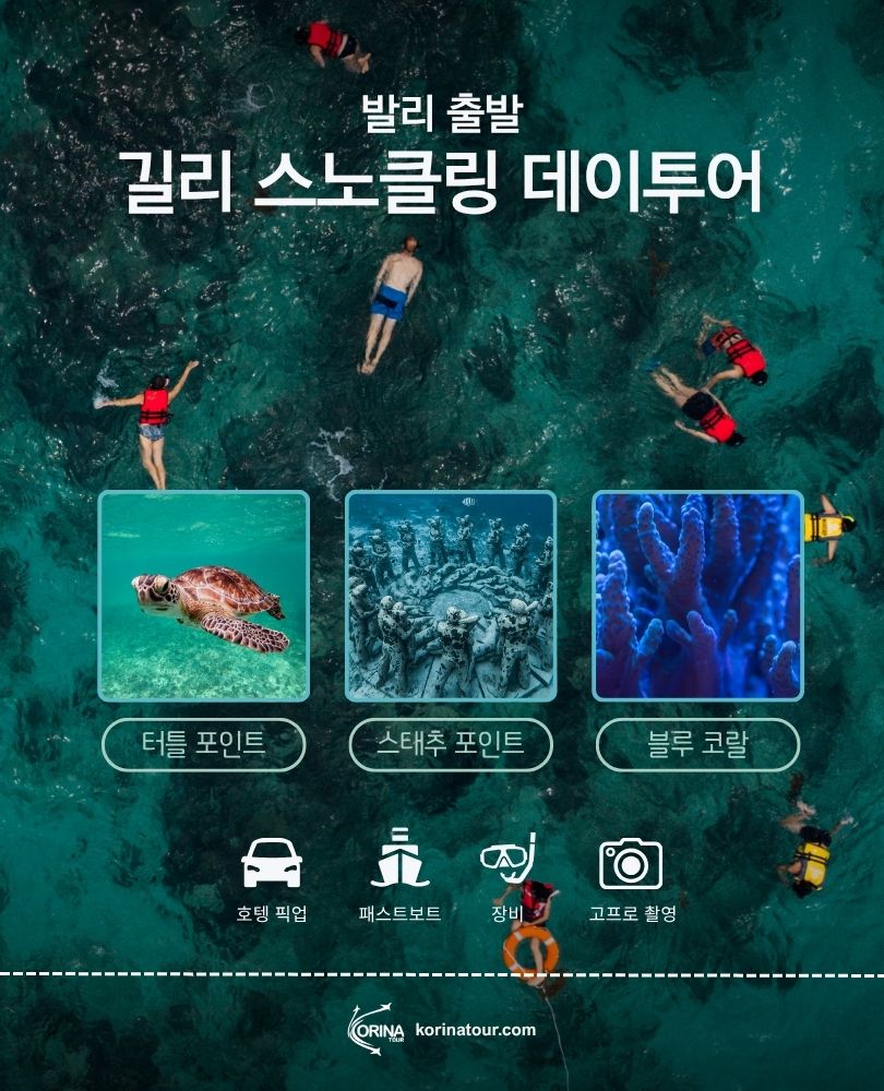 [롬복] 발리 출발 길리 스노클링 데이투어