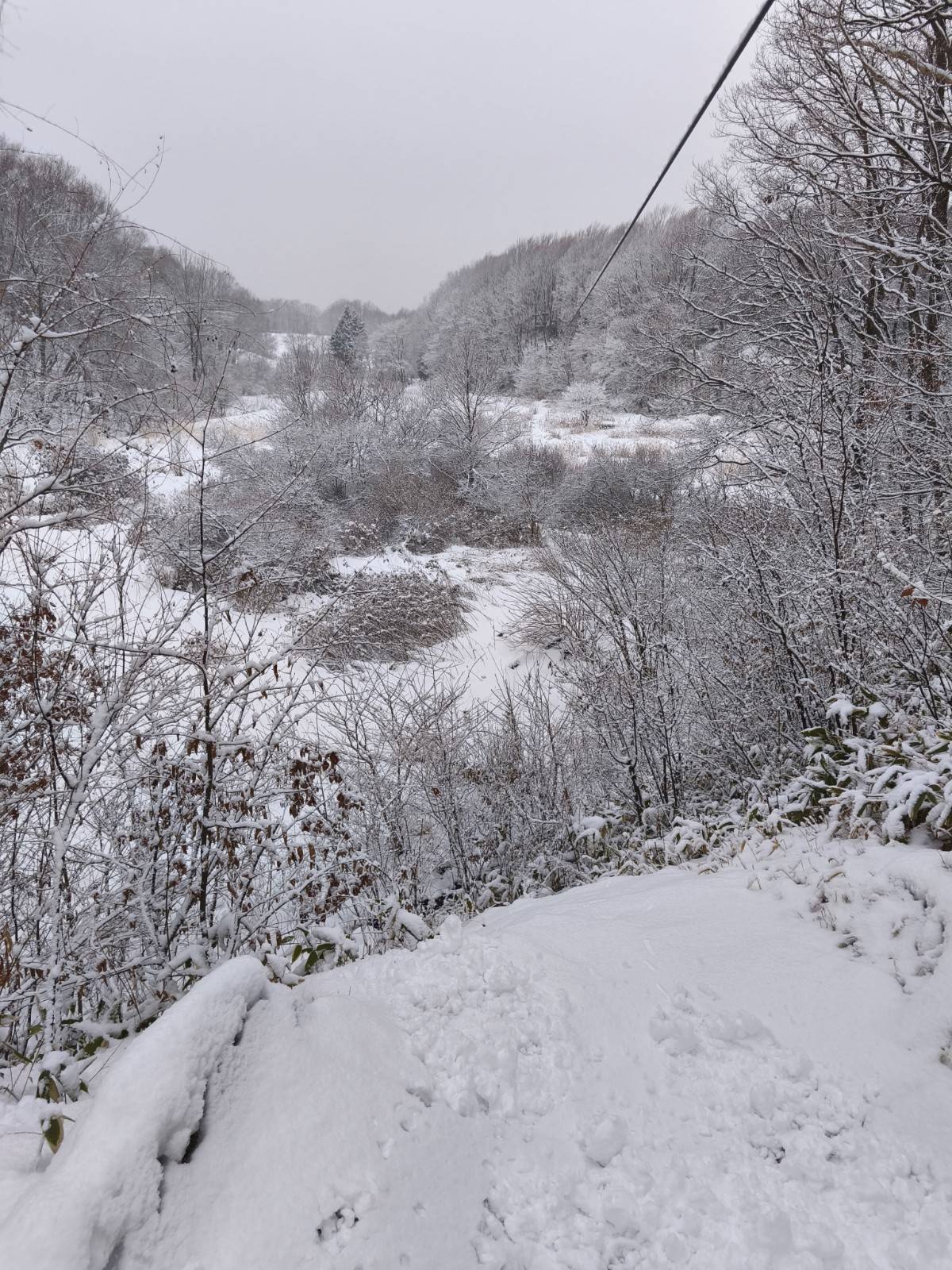 [홋카이도] 포레스트 어드벤처 에니와 체험권 (짚트립 투어)