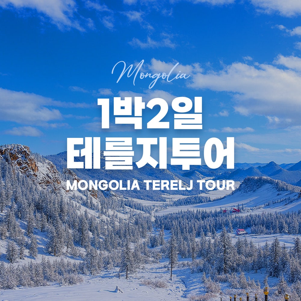 [몽골] 1박 2일 겨울 테를지 투어